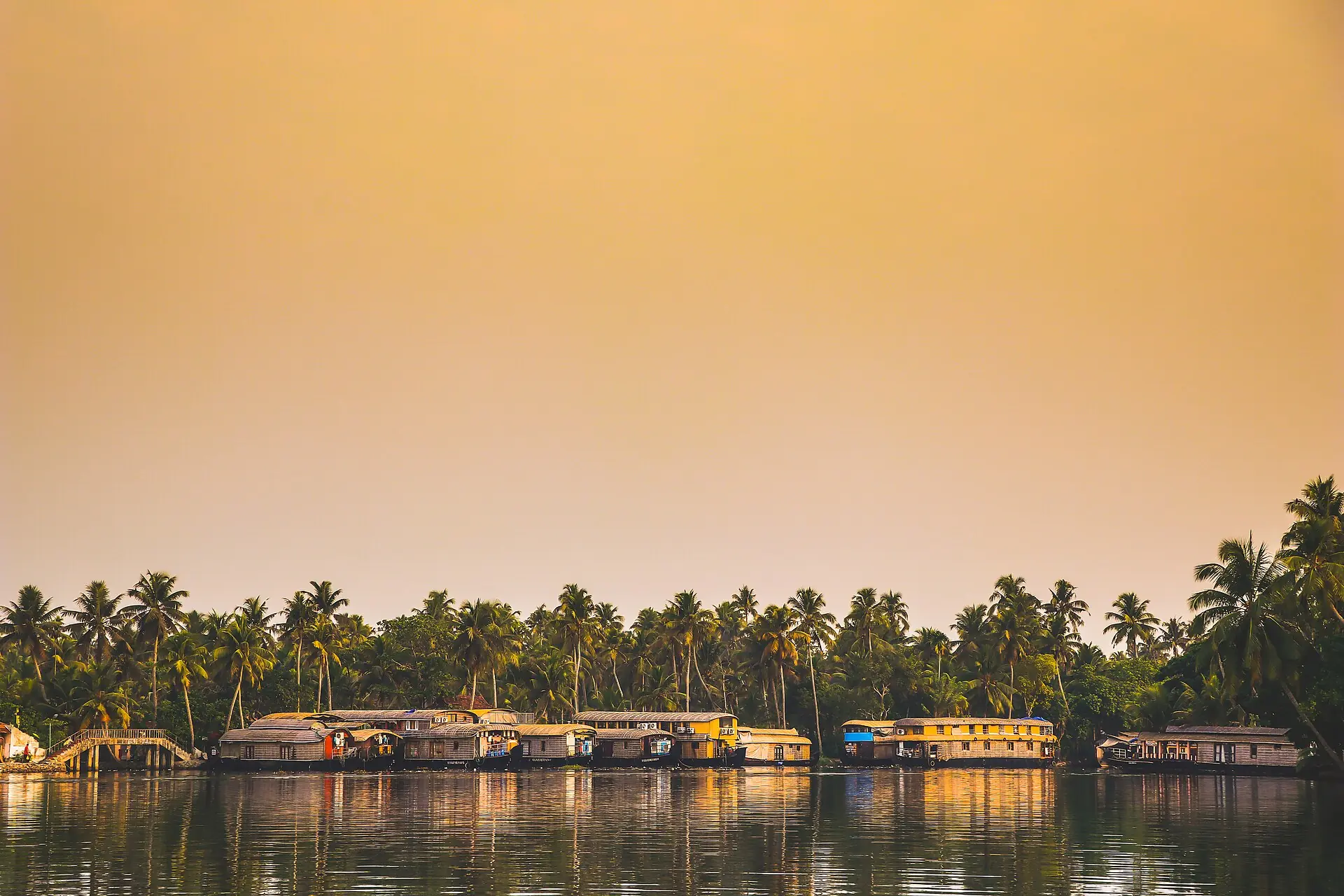 A row of houseboats moored under palm trees on the Alleppey backwaters at golden hour