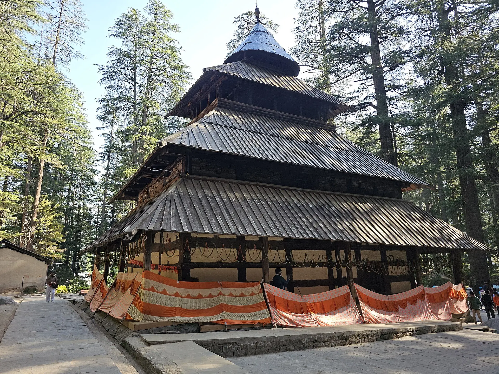 The tiered wooden roof of Hidimba Devi Temple among tall deodar trees in Manali