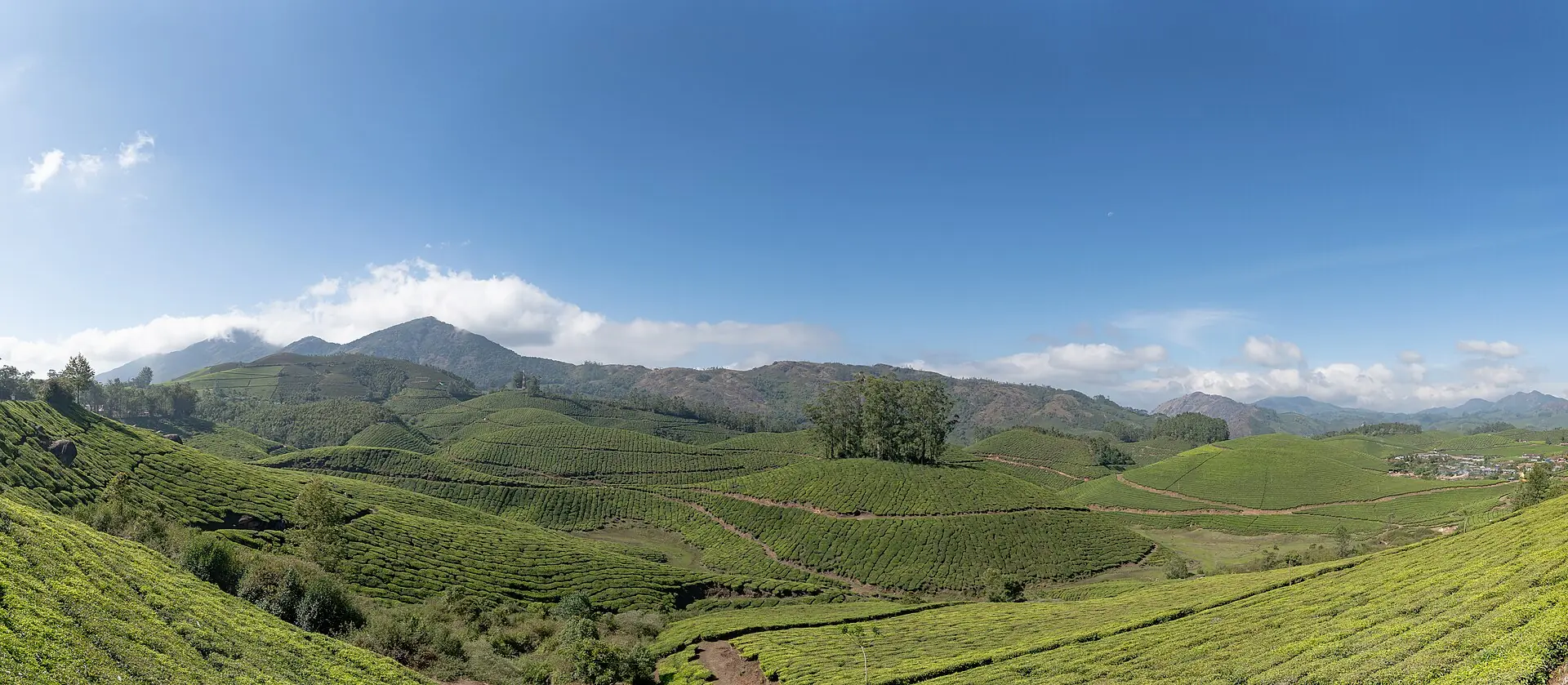 Panorama of rolling tea plantations and hills around Munnar