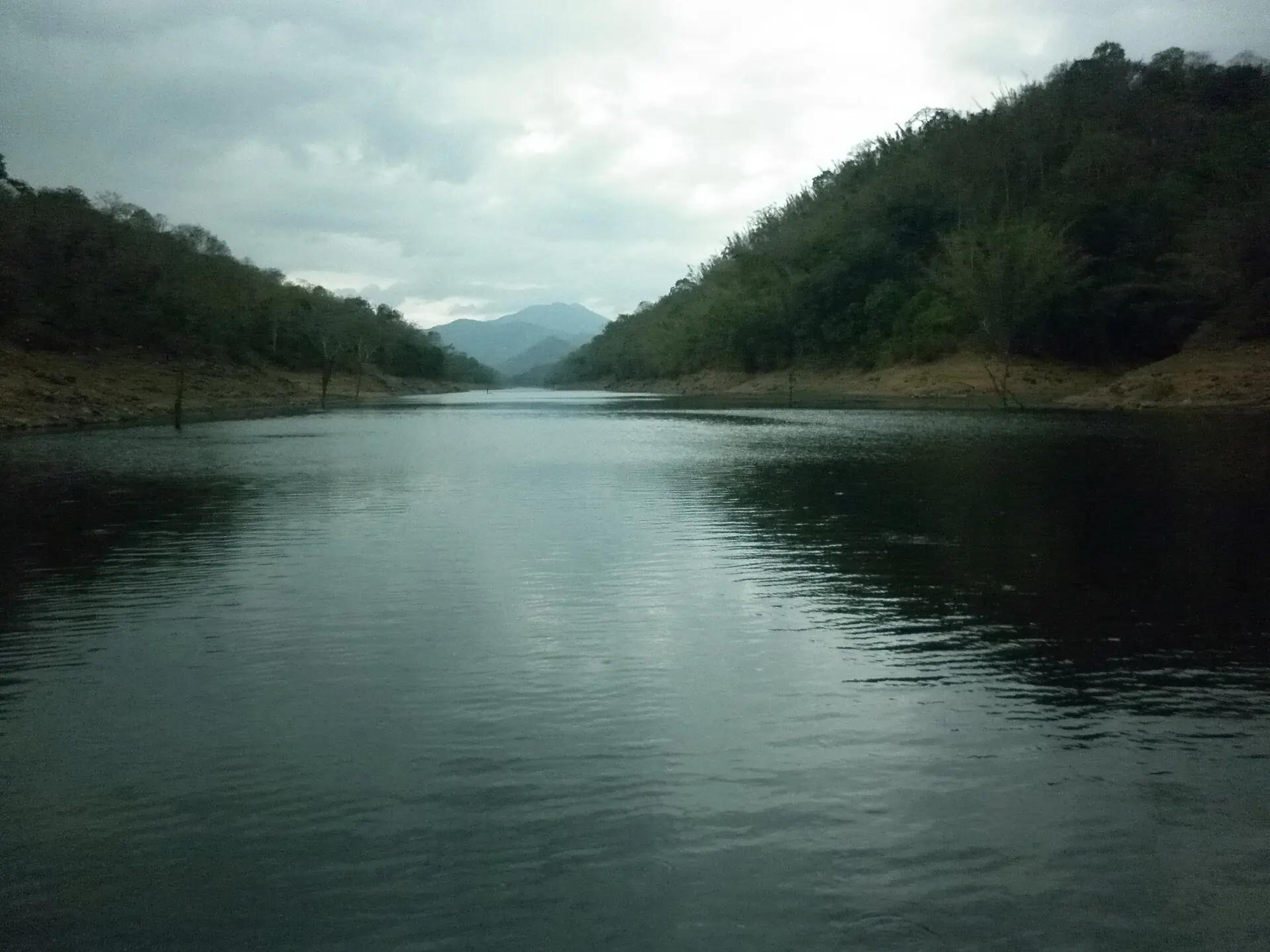 Calm Periyar lake surrounded by forested hills in Thekkady